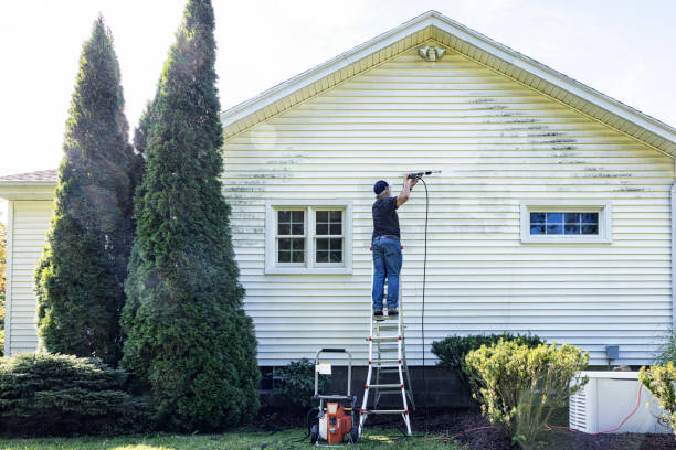 Best Deck Cleaning Services  in Harlowton, MT